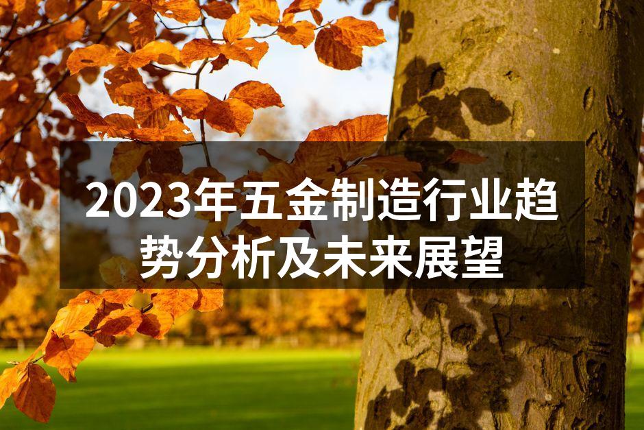2023年五金制造行业趋势分析及未来展望